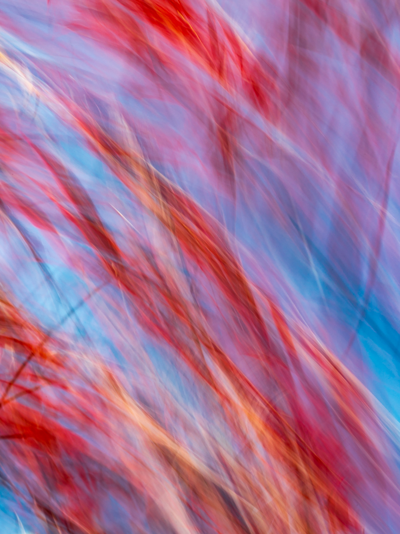 Im Wind